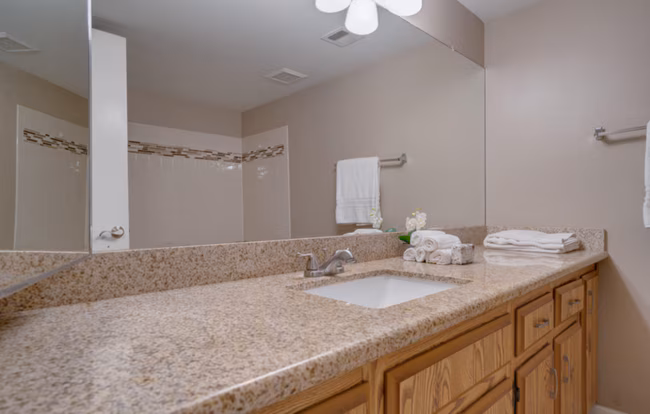 8847 North 8th St Phoenix, AZ 85020 photo 5
