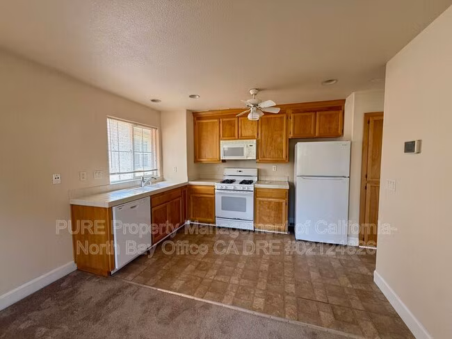 565 Jorgensen St Cotati, CA 94931 photo 3