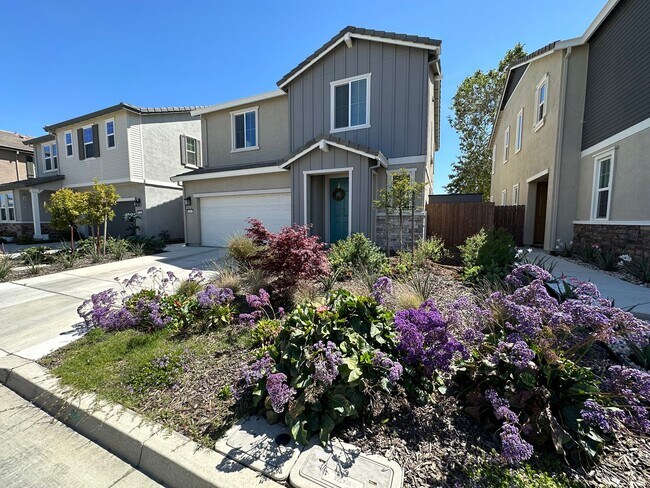 237 Agata Way, Oakley, CA 94561 photo 3