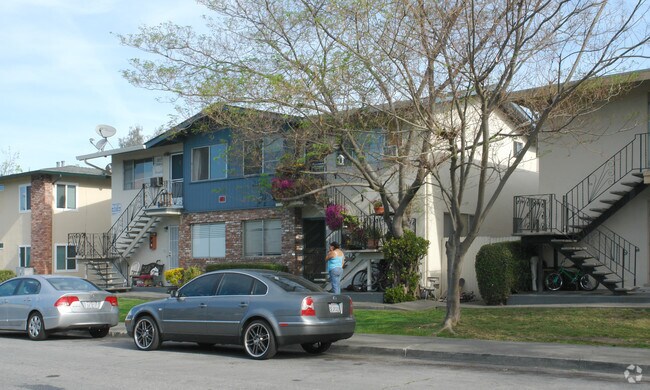 Sutter 2355 photo 3
