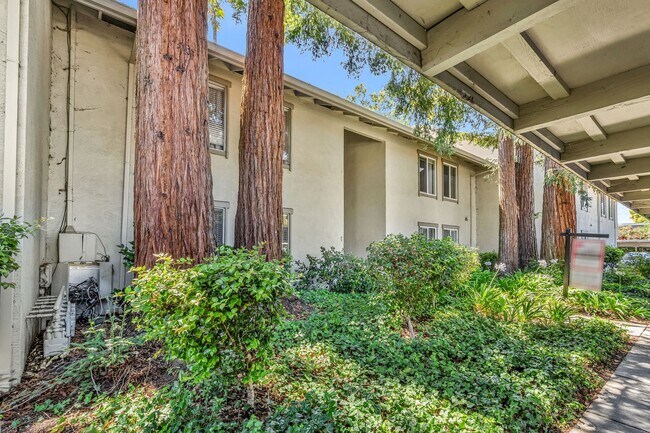 2562 Walnut Blvd Walnut Creek, CA 94596 photo 3