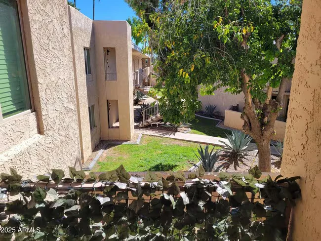 3314 N 68th St Scottsdale, AZ 85251 photo 5