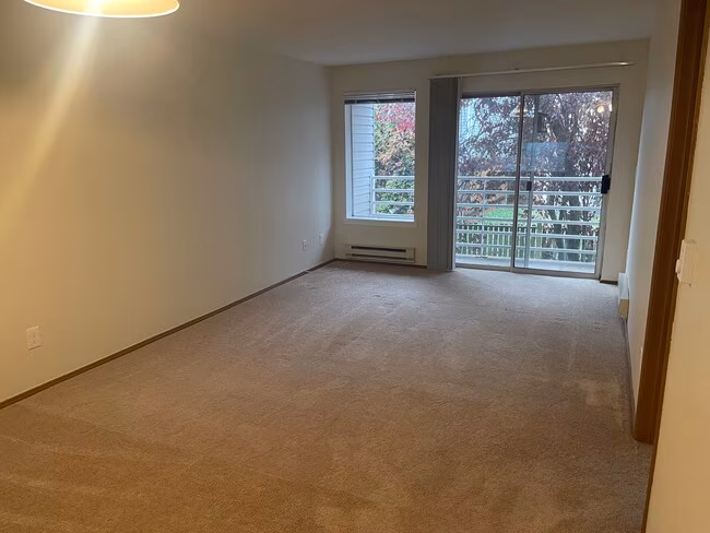 8820 Stone Ave N Seattle, WA 98103 photo 5