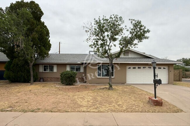8129 N 17th Dr Phoenix, AZ 85021 photo 3