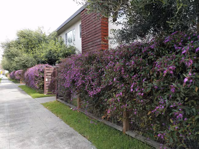 2235 Bonar St photo 3