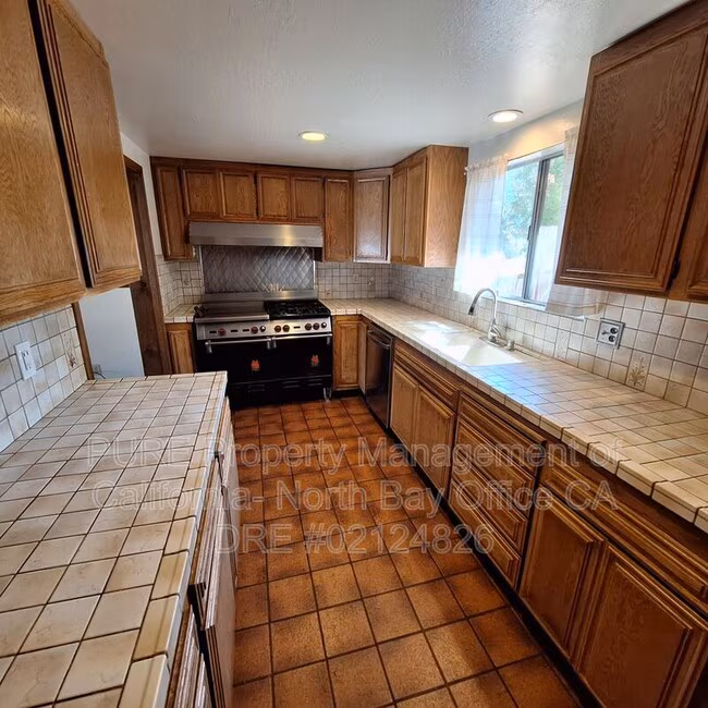 825 Bodega Ave Petaluma, CA 94952 photo 4