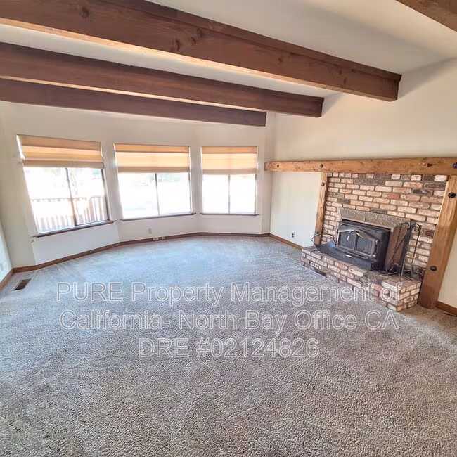 825 Bodega Ave Petaluma, CA 94952 photo 5