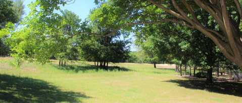 118 Larkspur Ln Georgetown, TX 78633 photo 3