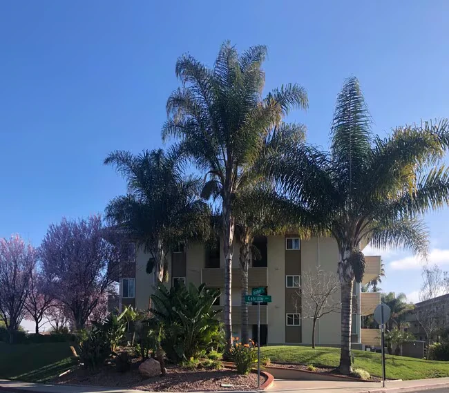 Village Green Apartments photo 2