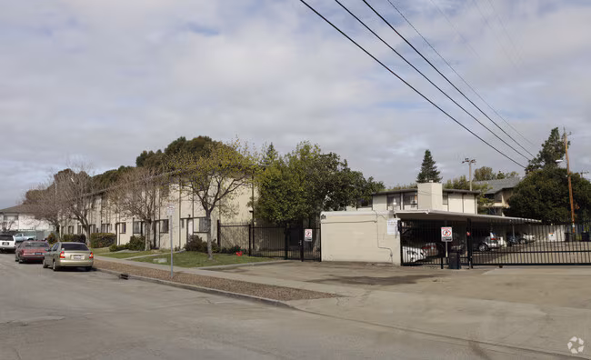 Tampa Apartments photo 3