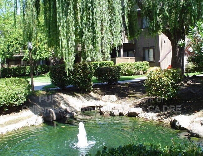 1811 La Terrace Cir. photo 4