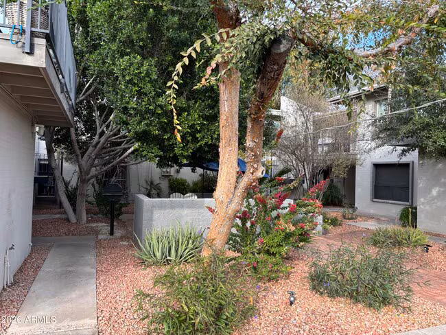 4111 E Camelback Rd Phoenix, AZ 85018 photo 4