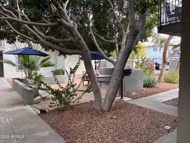 4111 E Camelback Rd Phoenix, AZ 85018 photo 5