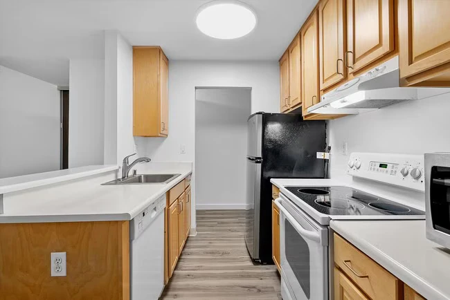 960 Shorepoint Ct Alameda, CA 94501 photo 4