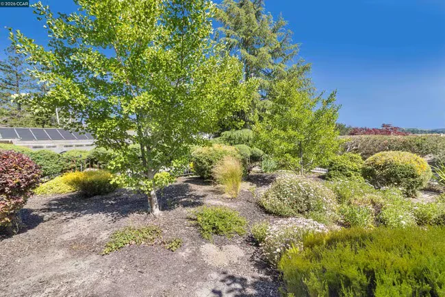 770 Crossbrook Dr Moraga, CA 94556 photo 4