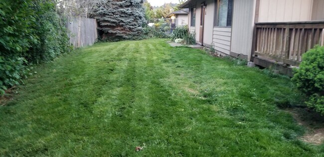903 31st St NE Auburn, WA 98002 photo 3