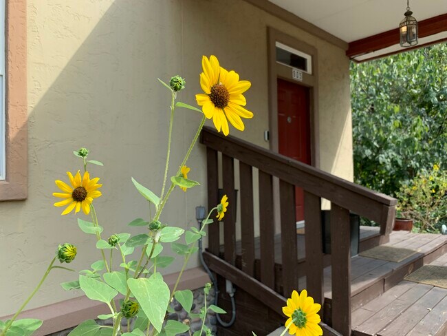 905 Prospect Ave Austin, TX 78702 photo 3