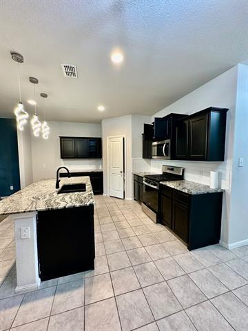 16525 Portage Street, Justin, TX 76247 photo 4