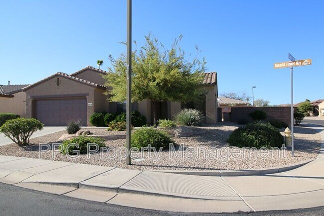 19176 N Tamarisk Flower Way Surprise, AZ 85387 photo 2