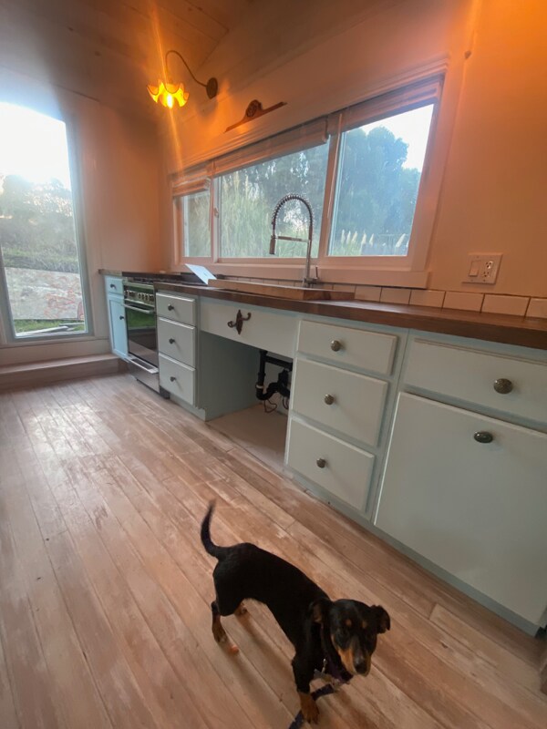 132 Lily Vine Ln Petaluma, CA 94952 photo 4