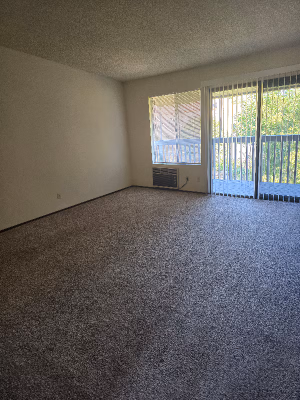 385 Murphy Ave Sebastopol, CA 95472 photo 5