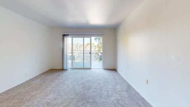 1821 Lincoln Ave San Rafael, CA 94901 photo 4