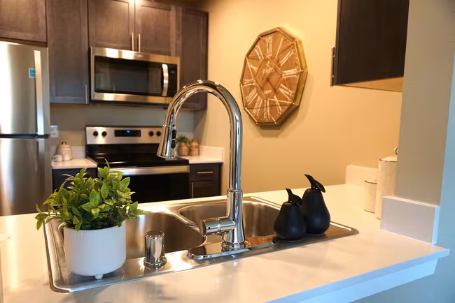 Silver Leaf Residences - A 55+ Community photo 5