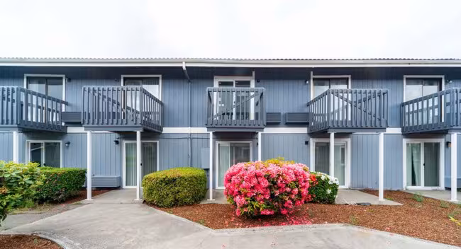 Indigo Apartments photo 3