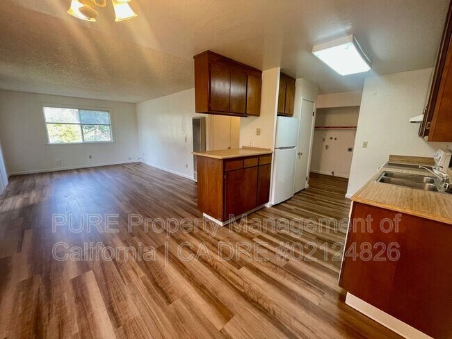 847 Madison St Petaluma, CA 94952 photo 4