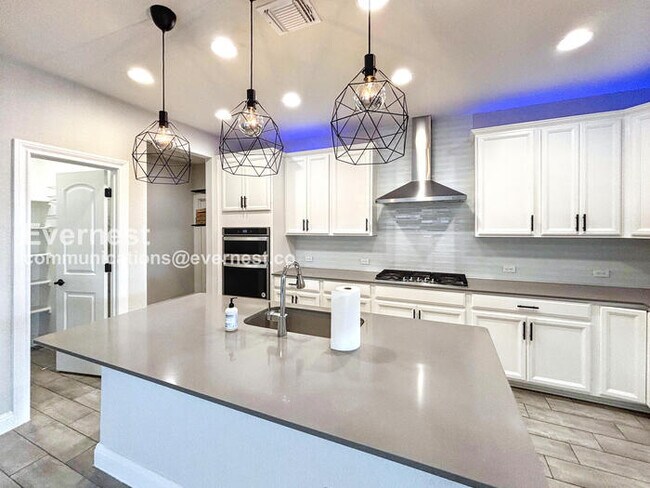 416 Spoleto Dr Liberty Hill, TX 78642 photo 3