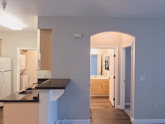Catalina Luxury Apartments photo 2