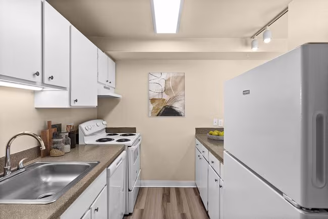 Bergen Apartments photo 2