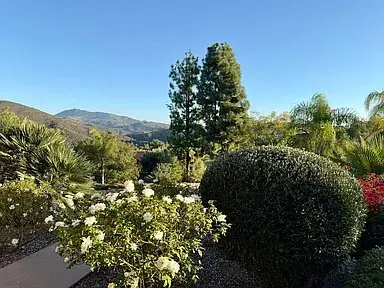 13114 Polvera Ave San Diego, CA 92128 photo 3
