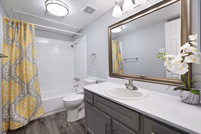 Nova Apartment Homes photo 5