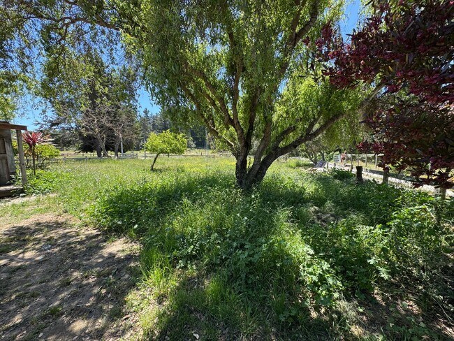 640 Peaceful Valley Dr Watsonville, CA 95076 photo 4