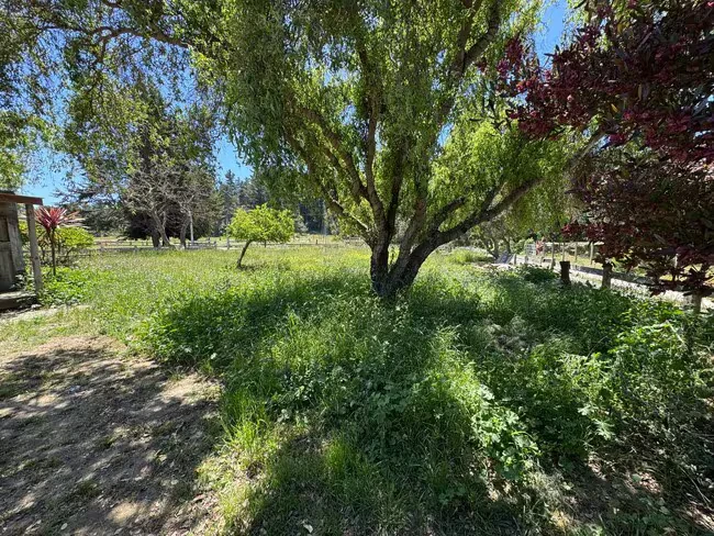 640 Peaceful Valley Dr Watsonville, CA 95076 photo 4