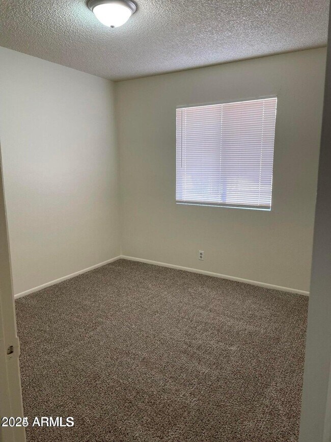 585 W 20th Ave Apache Junction, AZ 85120 photo 5