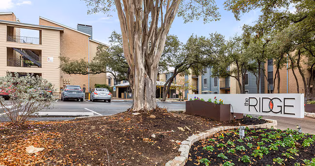 The Ridge Apartments photo 4