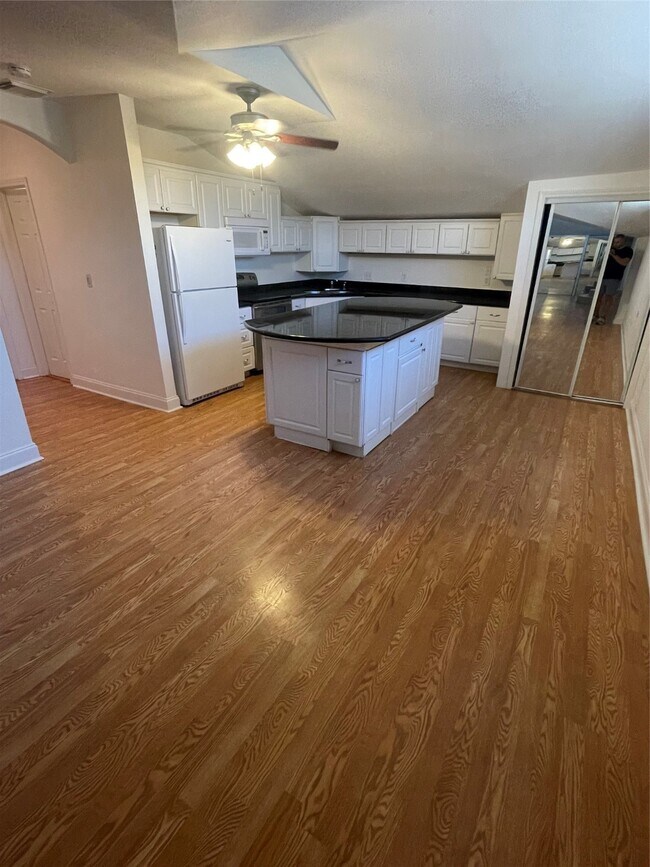 2110 Chenevert Street, Houston, TX 77003 photo 5