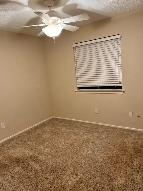 6918 Dallas Dr Austin, TX 78729 photo 4