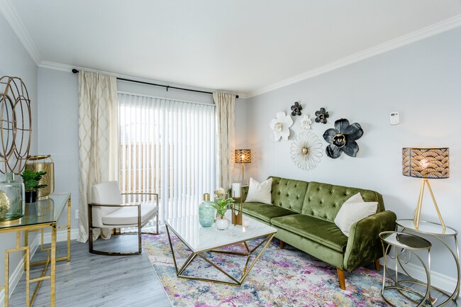Villa Solano Apartments photo 4
