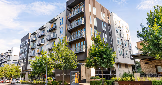 The Standard at Domain photo 4