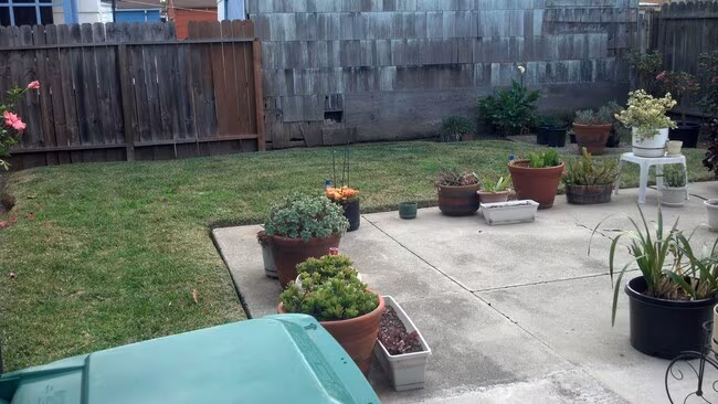 2+ Bedroom 1 Bath House in Oakland photo 3
