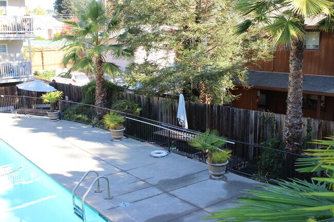 7725 Bodega Ave Sebastopol, CA 95472 photo 5