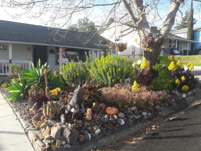 50 La Cruz Ave Benicia, CA 94510 photo 2