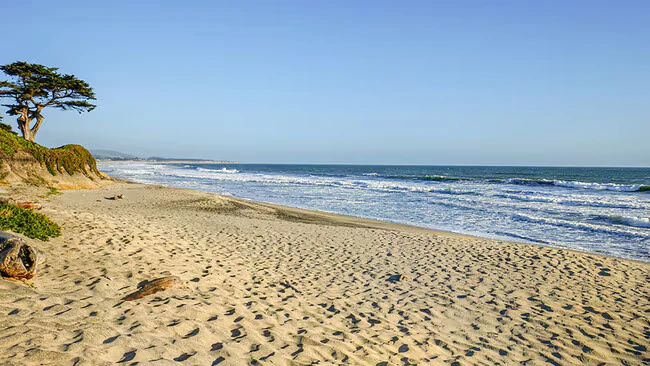 78 Alcatraz Ave Half Moon Bay, CA 94019 photo 2