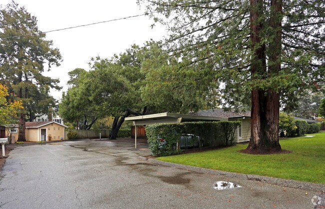 Los Altos Gardens II photo 2