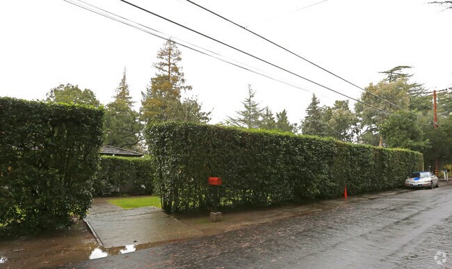 Los Altos Gardens II photo 3