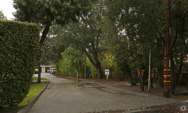 Los Altos Gardens II photo 4
