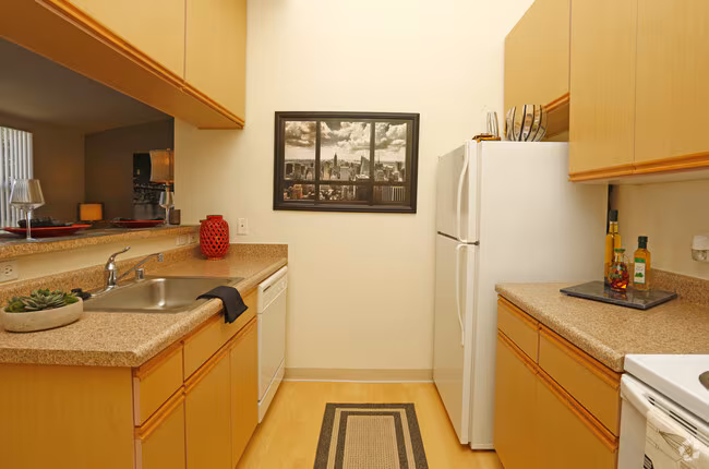The Woods Apartments photo 5
